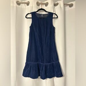 J. Crew Velvet Blue Dress